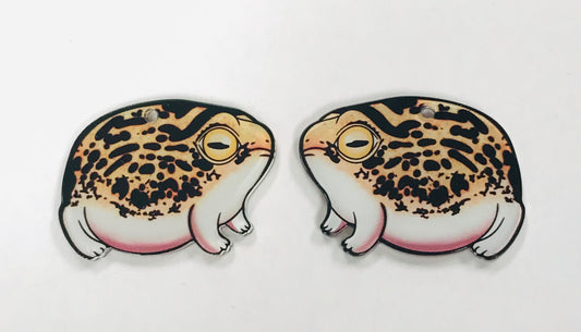 3pcs Desert Rain Frog Charms, Wholesale Acrylic Charms DIY jewelry making
