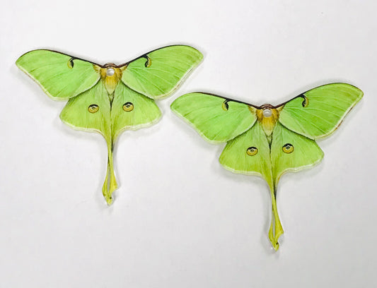 3pcs Green Luna Moth Charms, Wholesale Acrylic Charms DIY jewelry making