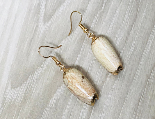Cowrie Sea Shell Earrings