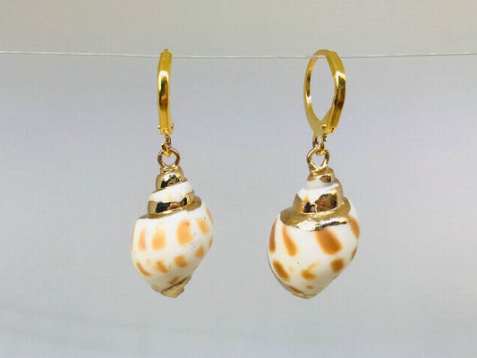 Cowrie Shell Huggie Earrings
