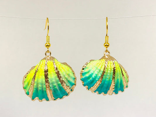 Costal shell jewelry earrings